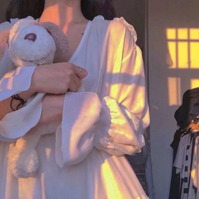 女黑侠木兰花粤语